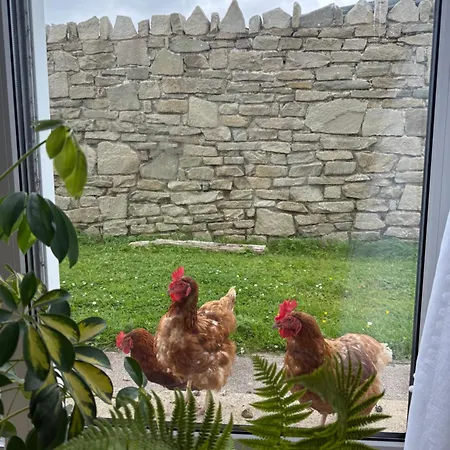 Privatunterkunft Where The Ocean Meets The Sky - 5 Min From Surfing *