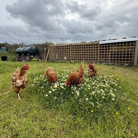 Where The Ocean Meets The Sky - 5 Min From Surfing Privatunterkunft Tullaghan