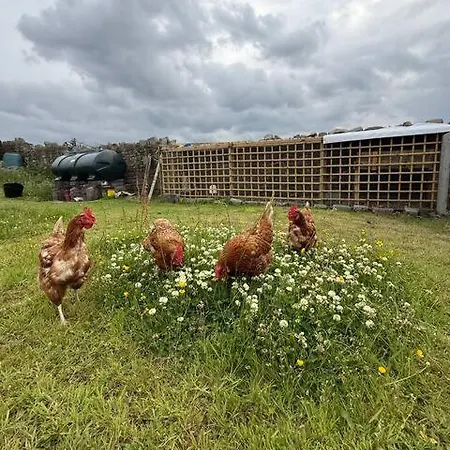 Where The Ocean Meets The Sky - 5 Min From Surfing Privatunterkunft *