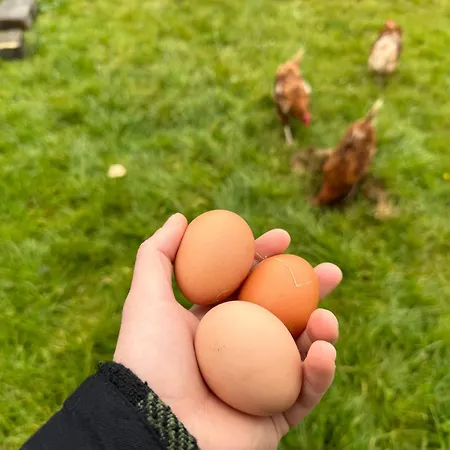Where The Ocean Meets The Sky - 5 Min From Surfing Privatunterkunft Tullaghan