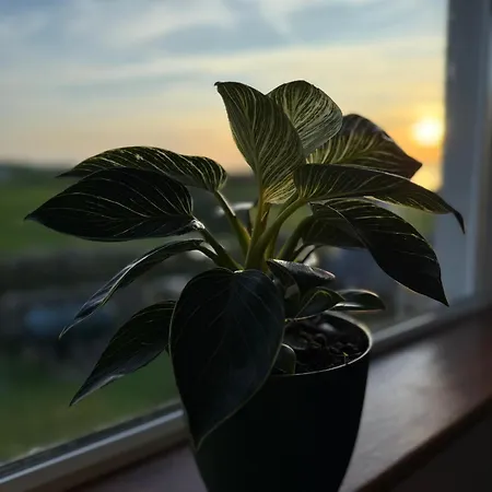 Where The Ocean Meets The Sky - 5 Min From Surfing * Tullaghan