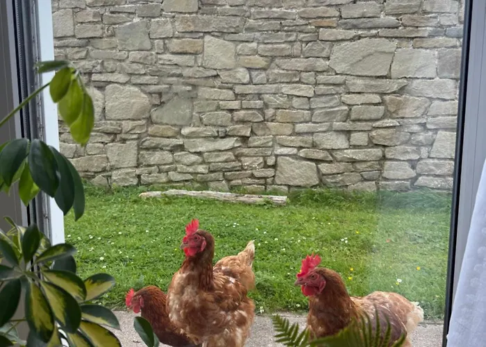 홈스테이 Where The Ocean Meets The Sky - 5 Min From Surfing *