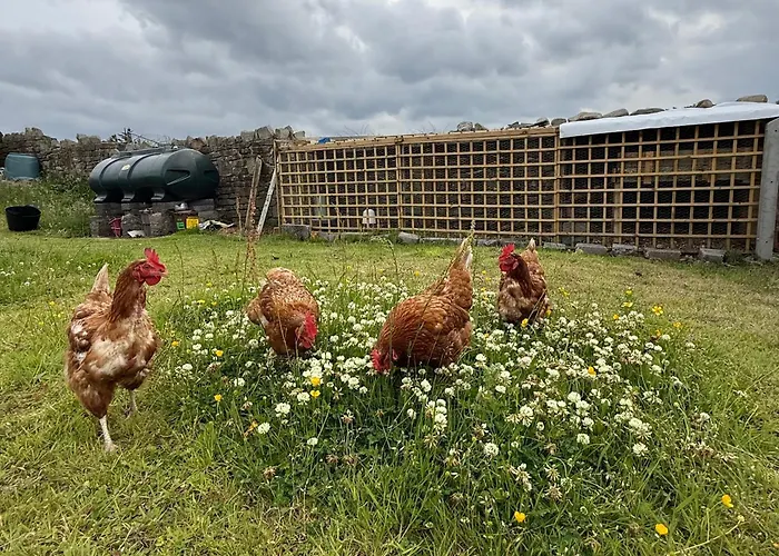 Where The Ocean Meets The Sky - 5 Min From Surfing 홈스테이 Tullaghan