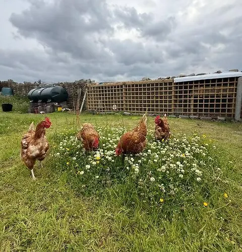 Where The Ocean Meets The Sky - 5 Min From Surfing 홈스테이 *