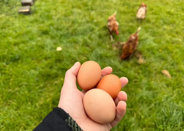 Where The Ocean Meets The Sky - 5 Min From Surfing 홈스테이 Tullaghan