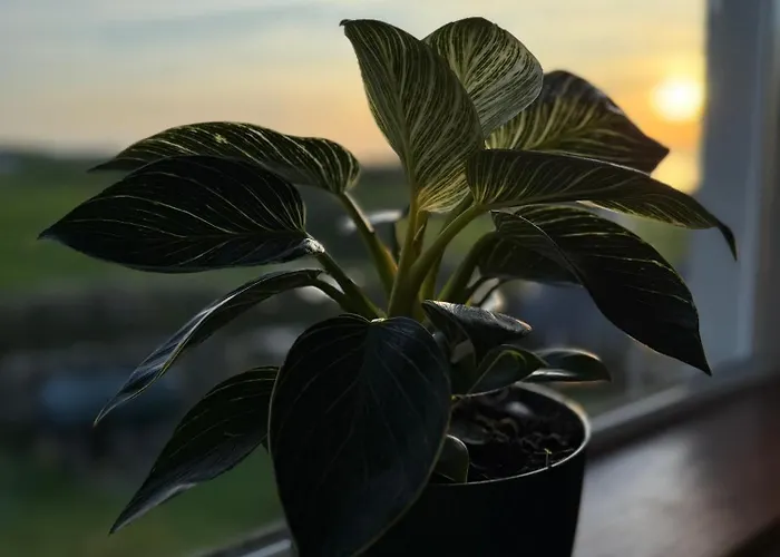 Where The Ocean Meets The Sky - 5 Min From Surfing * Tullaghan